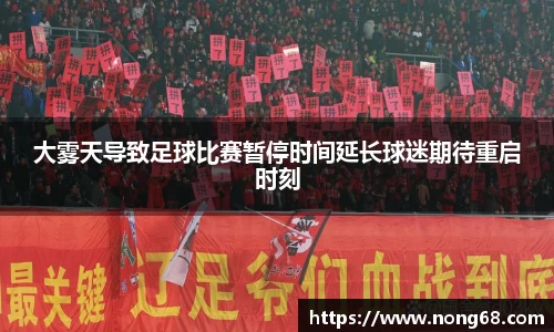 yy易游