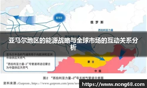 亚马尔地区的能源战略与全球市场的互动关系分析
