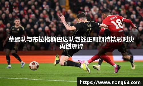 易游体育