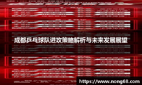 成都乒乓球队进攻策略解析与未来发展展望