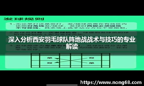 深入分析西安羽毛球队阵地战战术与技巧的专业解读